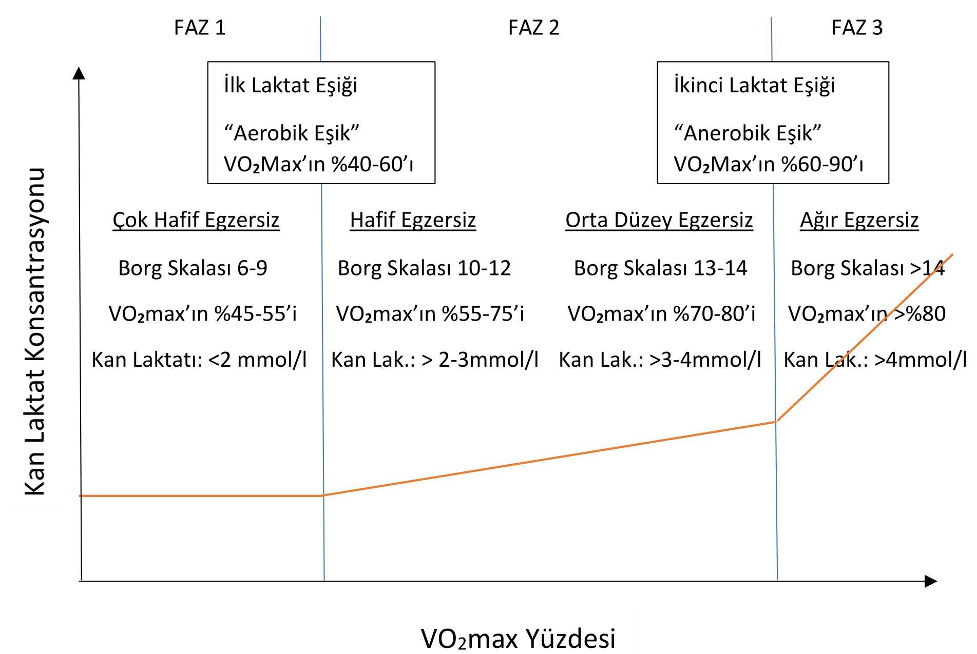 Laktat Eşiği