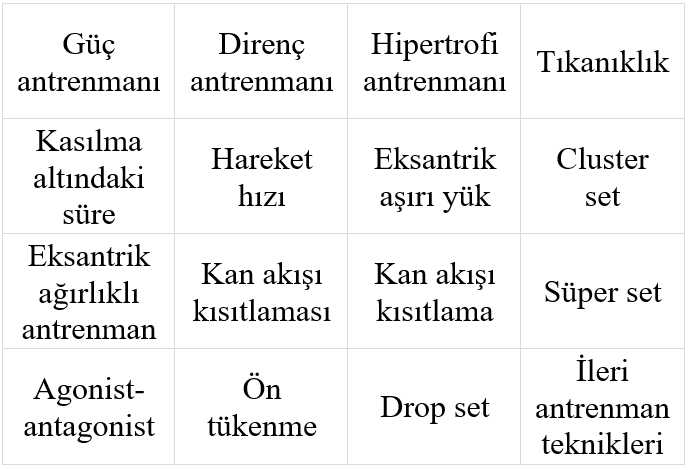 Kuvvet antrenmanları